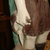 florjan05